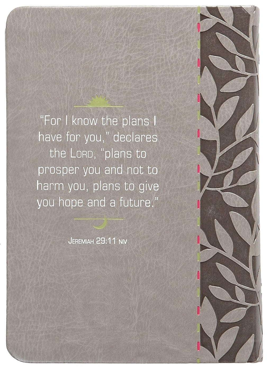 For I Know The Plans Morning & Evening Devotional