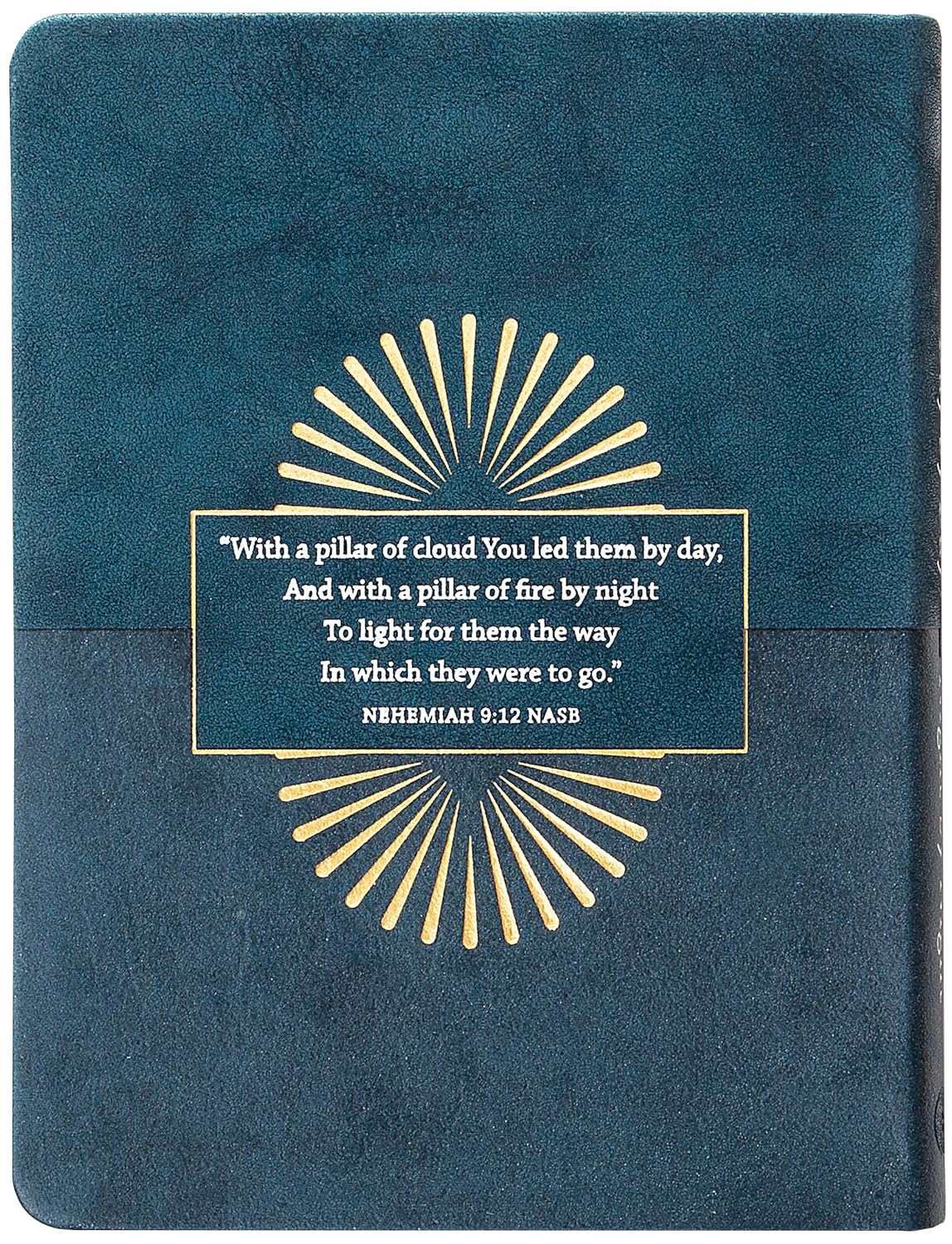 Day by Day and Night by Night: 365 Morning & Evening Devotions for Leaders