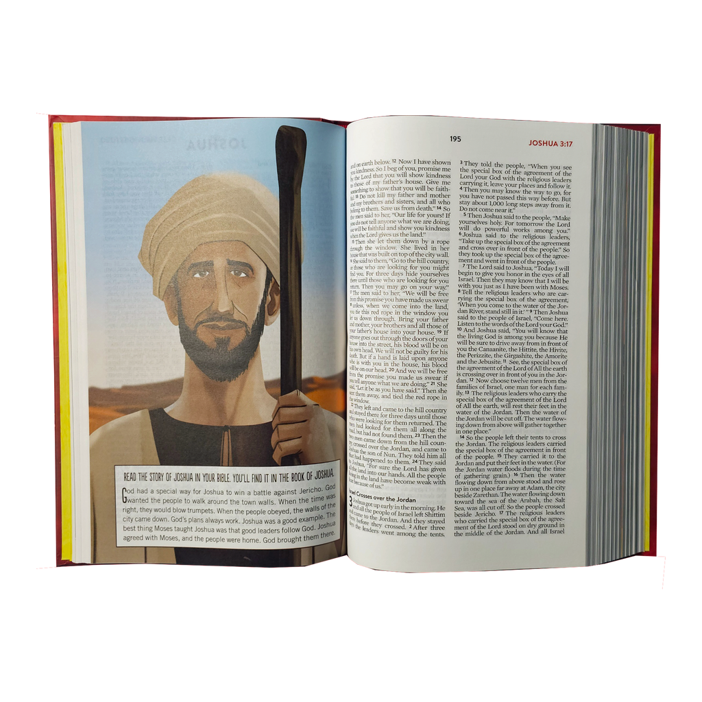 The Brave Boys Devotional Bible