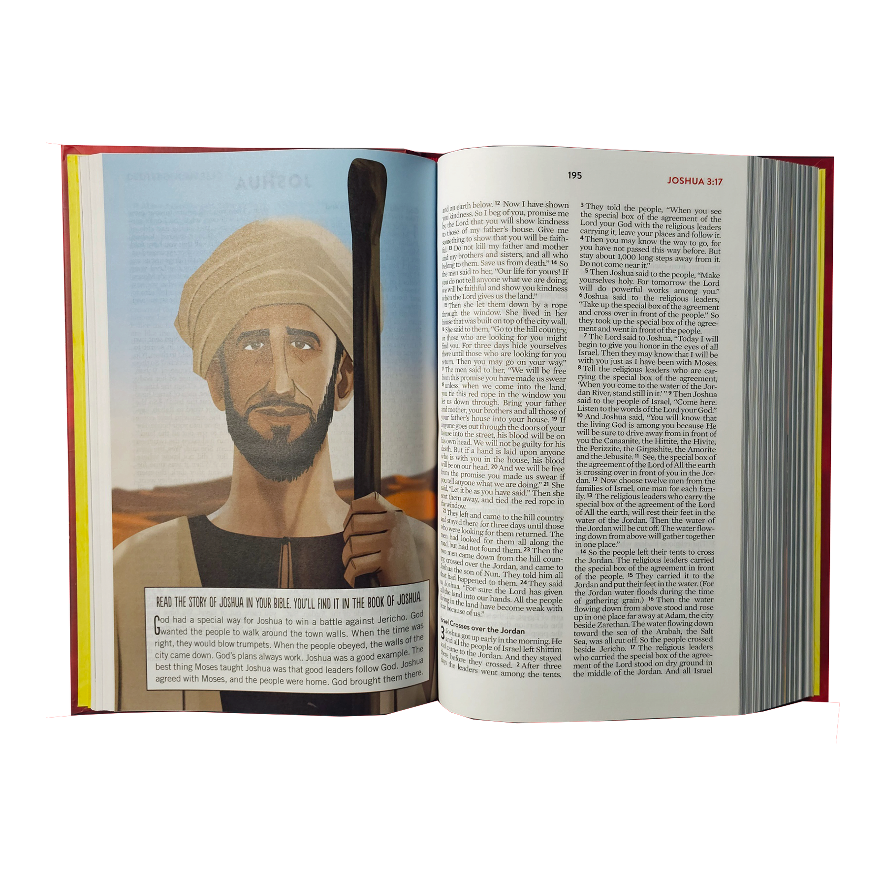 The Brave Boys Devotional Bible